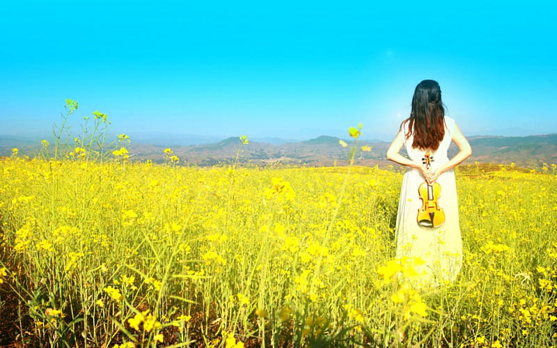 Sunny day, flower, guitar, woman, field, HD wallpaper | Peakpx