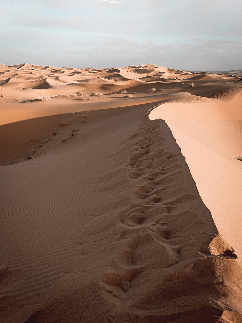 sand, desert, dunes, sky, HD phone wallpaper