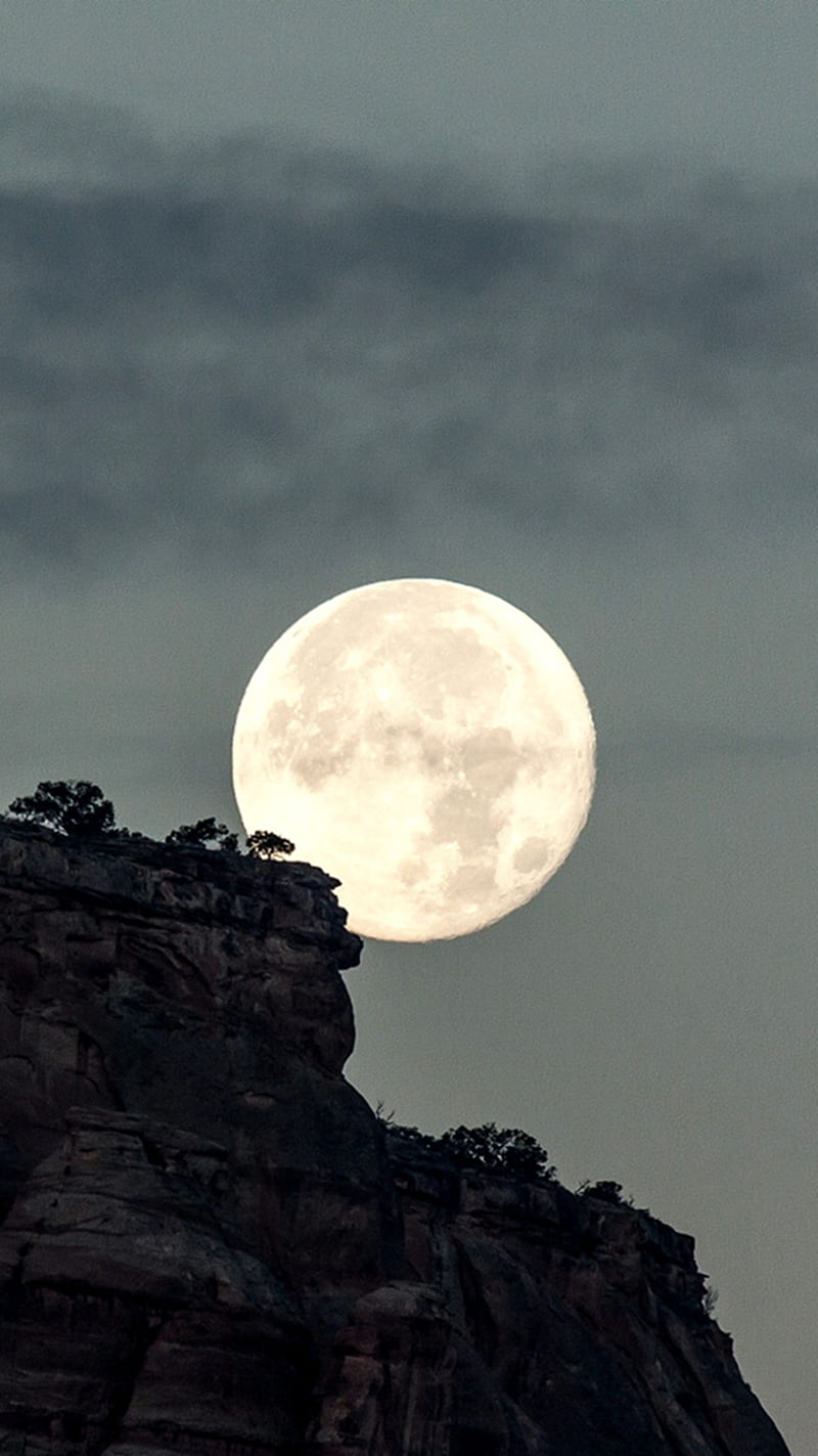 Moonlight, breathtaking, full moon, HD phone wallpaper