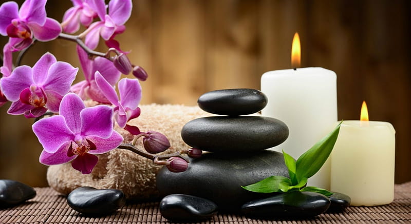 Spa, candle, flowers, leaves, stones, HD wallpaper