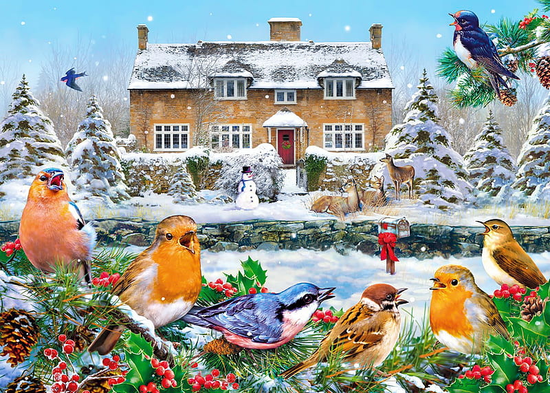 A winter song, bonito, winter, animals, Christmas, pretty, art, house, holiday, birds, song, gathering, sing, friends, HD wallpaper
