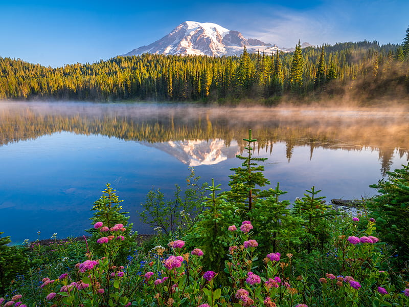 Mountains, Mount Rainier, Flower, Fog, Forest, Lake, Mountain, National Park, Nature, Reflection, USA, HD wallpaper