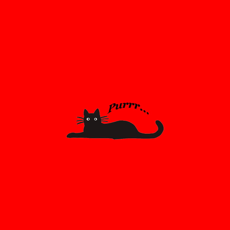 Black Cat Resting, kitty, red, feline, pet, animal, HD phone wallpaper