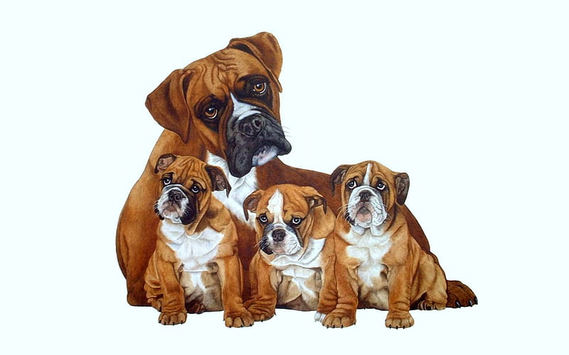 Family portrait, sweet, animal, puppy, dog, HD wallpaper