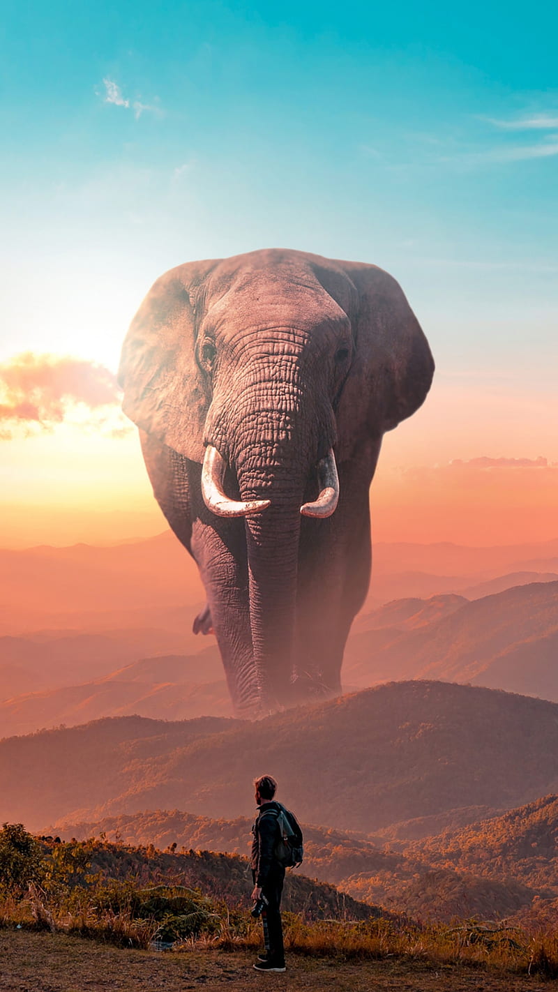 Huge elephant, animal, art, fantasy, giant, man, wild, HD phone wallpaper