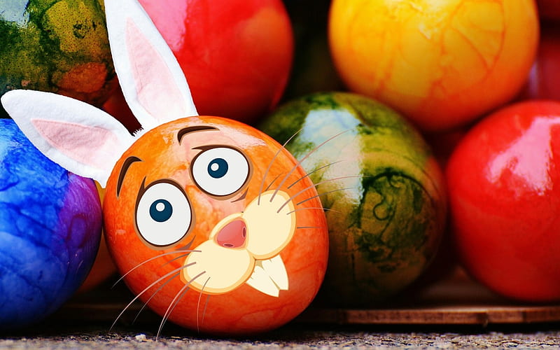 Happy Easter!, red, colorful, orange, ears, easter, card, egg, funny, bunny, blue, HD wallpaper