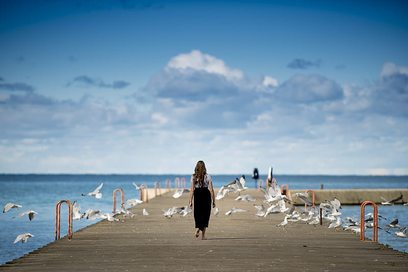 woman standing on a boardwalk surrounded by birds, HD wallpaper