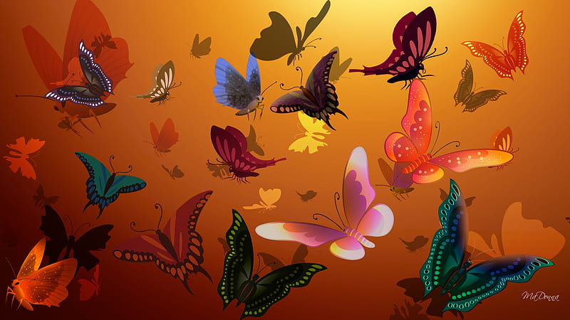 Butterflies So Many, fall, autumn, orange, colors, firefox persona, layers, butterflies, gold, butterfly, flying, bright, summer, HD wallpaper