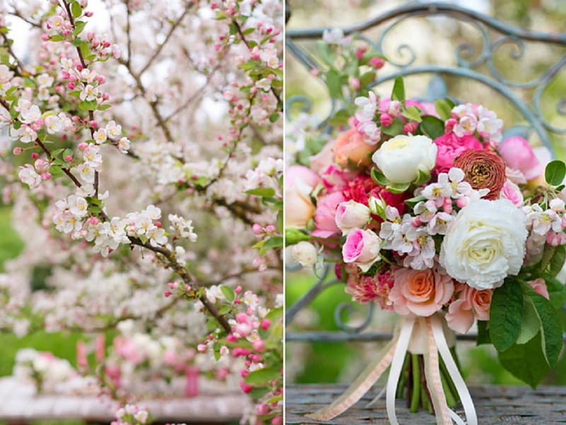 apple blossoms diptych, still life, bouquet, garden, nature, diptych, spring, apple blossoms, HD wallpaper