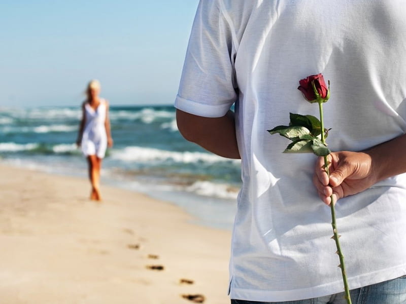 Happy Love, romantic, rose, happy, sea, beach, sand, people, love, couple, HD wallpaper