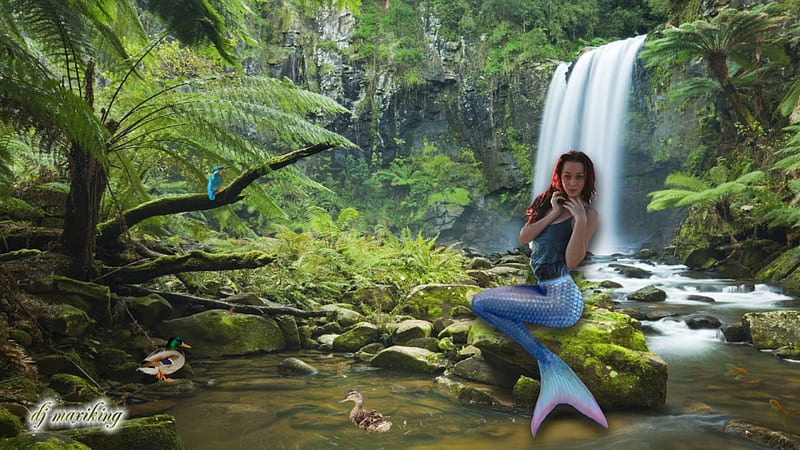 Blue Mermaid, mermaid, jungle, duck, woman, HD wallpaper