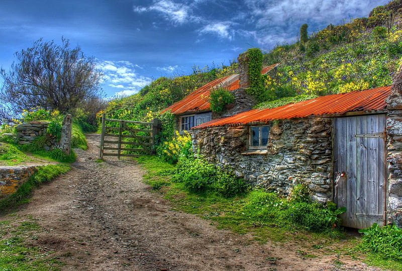 Fisherman's huts, fence, pretty, cottages, bonito, nice, calm, path, village, R, huts, quiet, lovely, houses, greenery, place, sky, trees, fisherman, serenity, peaceful, summer, nature, HD wallpaper