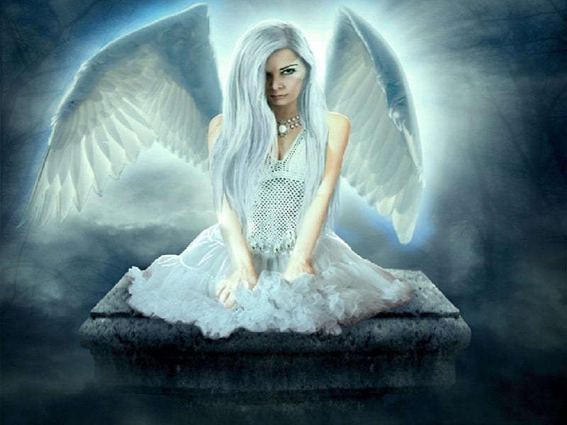 Heaven's not enough, Angel, white, Wings, Fantasy, HD wallpaper | Peakpx