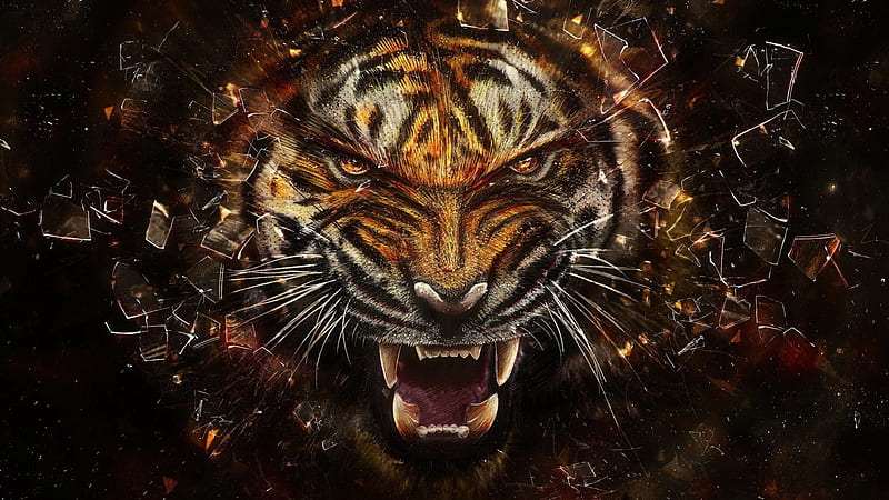 Tiger Predator, tiger teeth, angry tiger, tiger, tiger roar, HD wallpaper