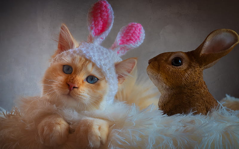 :), easter, bunny, cat, pink, rabbit, ears, toy, animal, cute, funny, pisici, figurine, HD wallpaper