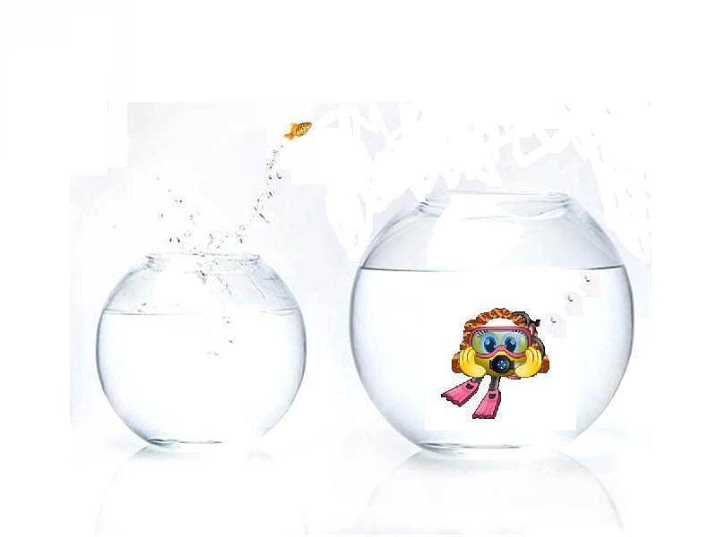 Fish Bowl Smiley 3, fish, jumping, smiley, diver, bowls, HD wallpaper