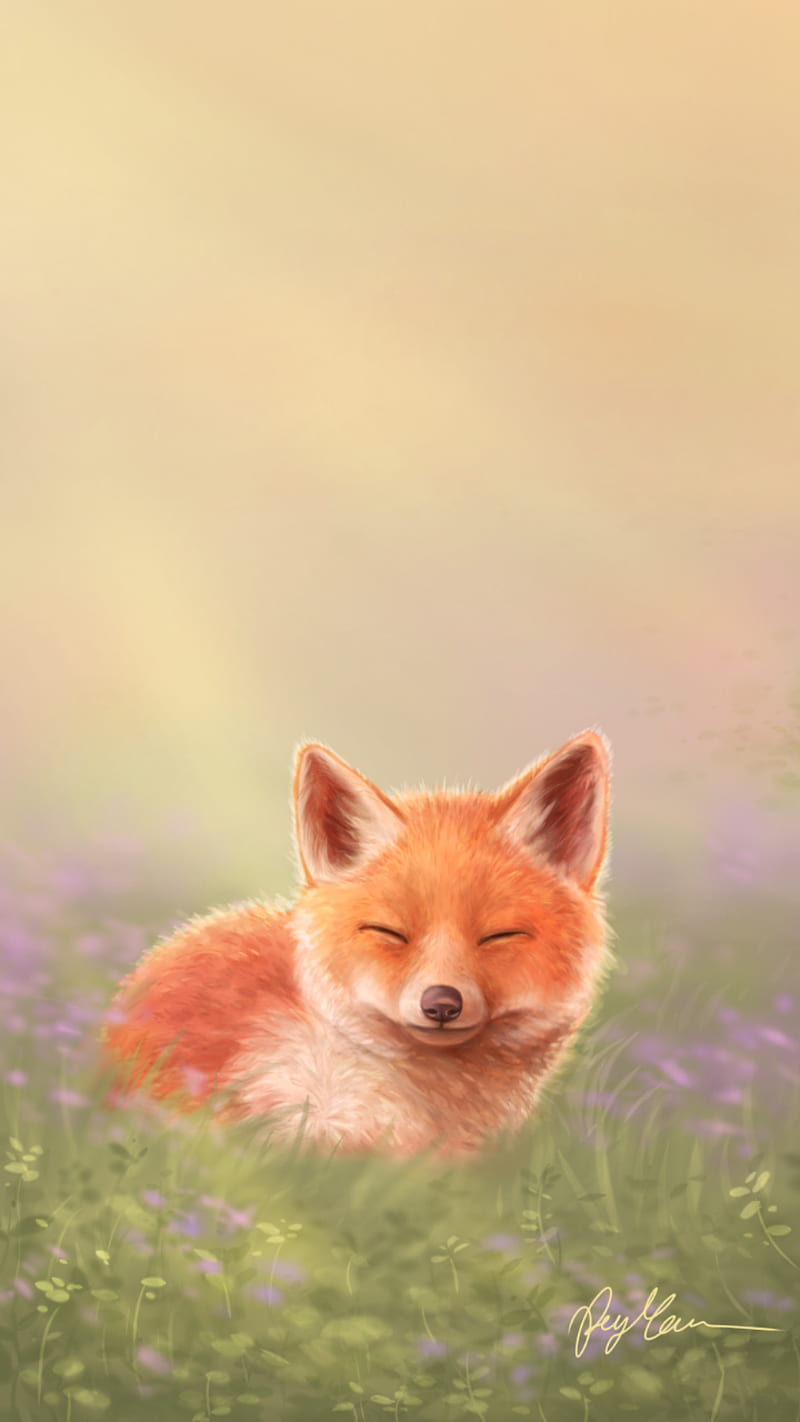 Fox And Lavender, animal, animals, coyotes, fox, foxes, fur, lavendar,  lavender, HD phone wallpaper | Peakpx