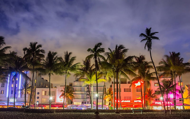 Miami Beach at Night, Miami, architecture, trees, buildings, HD wallpaper