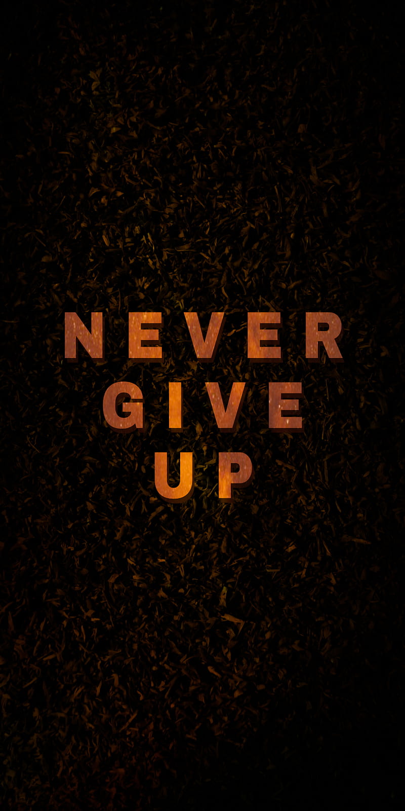 Never give up, full screen , new, prime, saves, HD phone wallpaper
