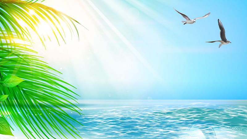 Sunshine Island, vacation, warm, sea birds, ocean, birds, palm, soft, sky, sea, tree, bright, sunshine, island, dream, light, blue, HD wallpaper