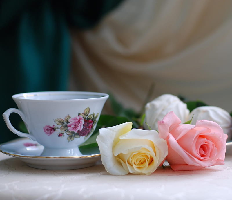Tea Roses, roses, tea, HD wallpaper