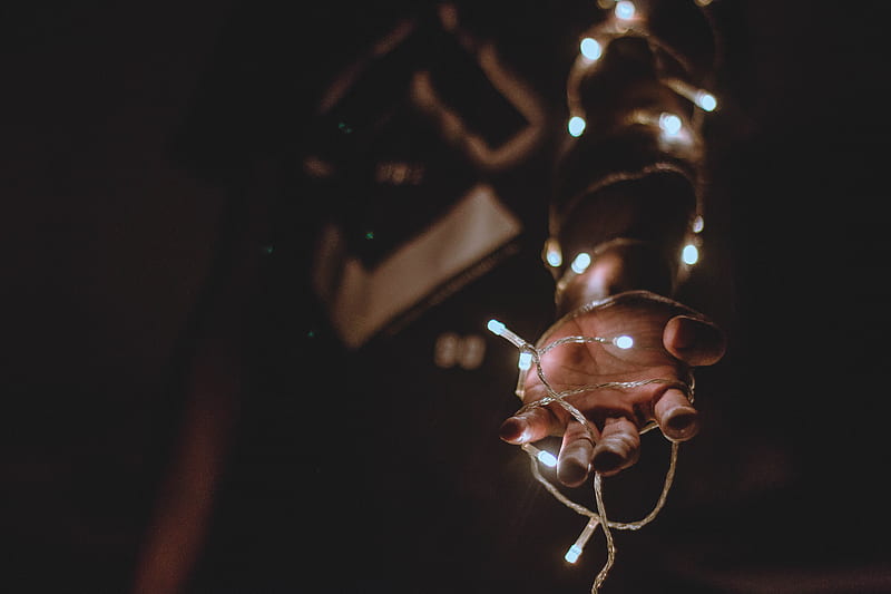 of Person Holding String Lights, HD wallpaper