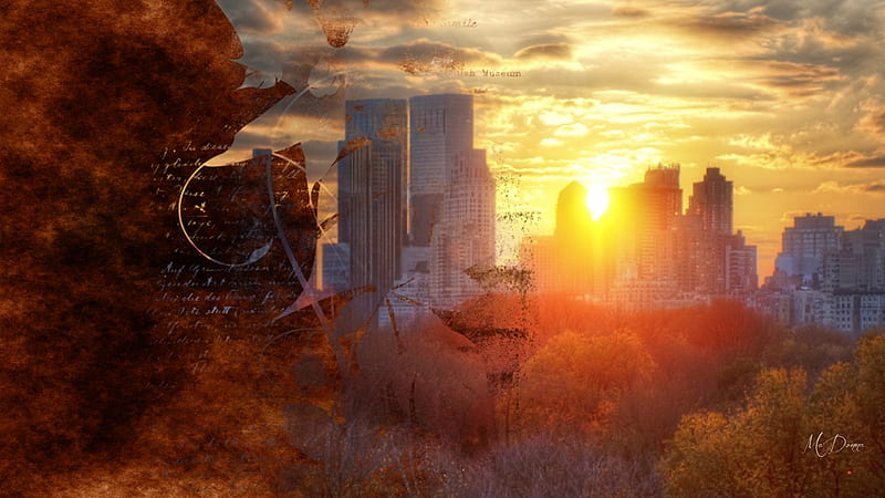 Fall City Sunset, fall, autumn, city, buildings, sky scrapers, sunset, collage, Firefox Persona theme, HD wallpaper