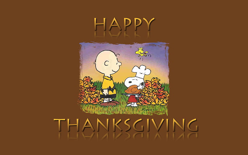 100 Snoopy Thanksgiving Wallpapers  Wallpaperscom