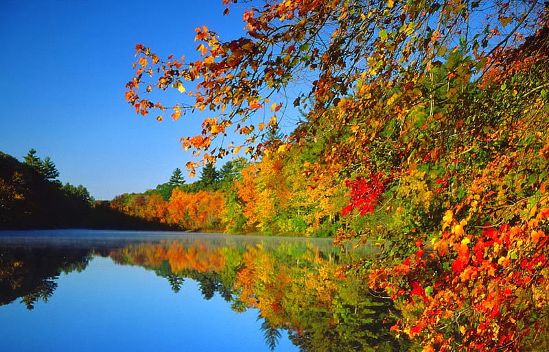 Fall scene, fall, autumn, shore, falling, bonito, foliage, mirrpred ...