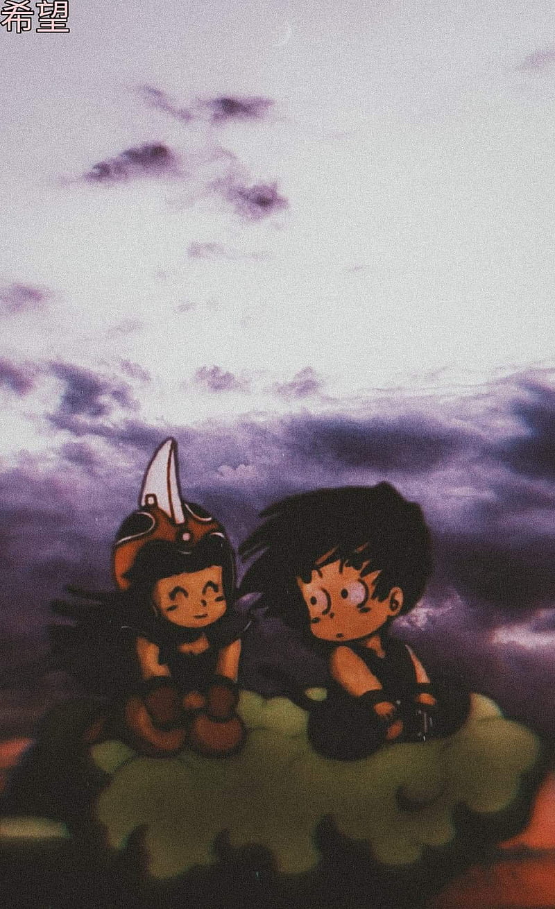 Goku and chichi, DragonBall, Aesthetic, Anime, HD mobile wallpaper