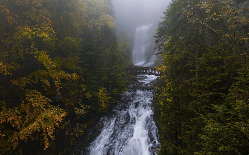 autumn, waterfall, forest, hanging bridge, beautiful waterfall, river, HD wallpaper