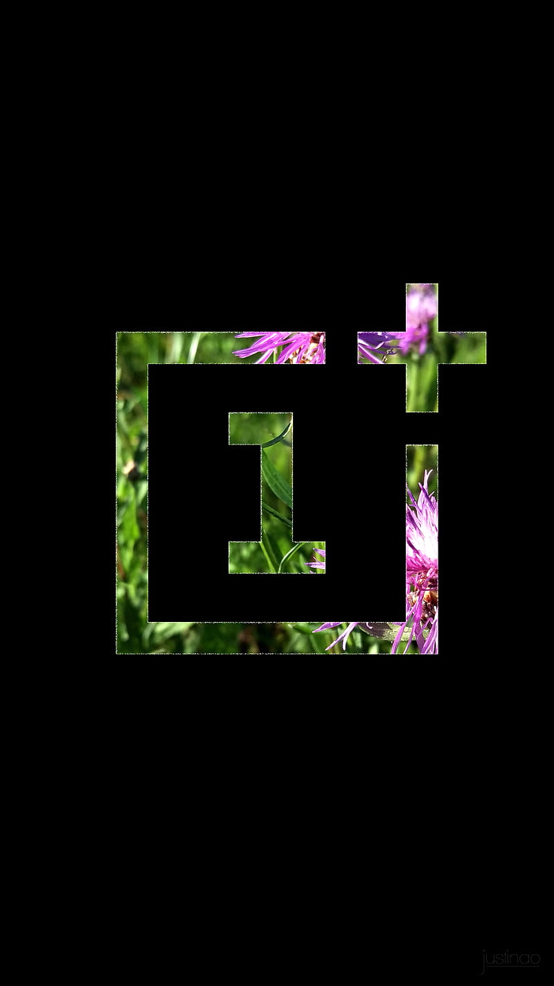 oneplus vblack, flower, grass, green, logo, meadow, pink, summer, HD phone wallpaper