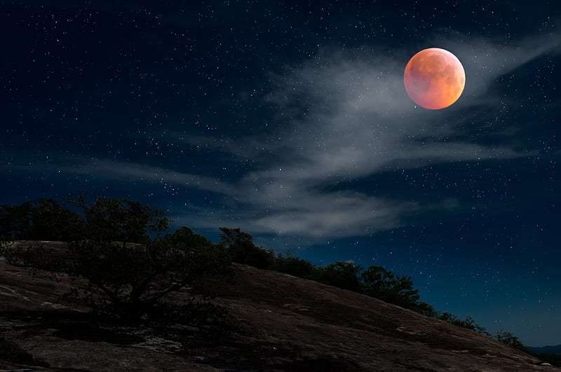 Moon Red Night Sky Forest Scenery 4K Wallpaper #6.2202