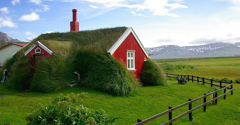 Roofing Grass House, red, house, grass, nature, Iceland, HD wallpaper