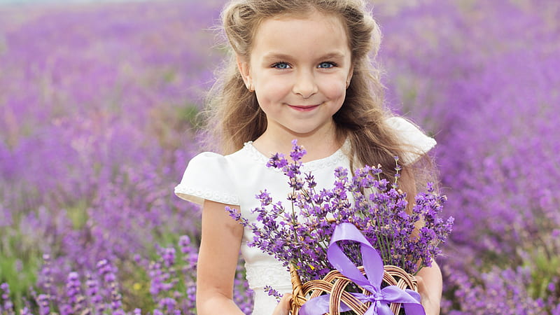 Smiling Cute Little Girl With Purple Flowers Basket Is Standing In Blur Lavender Flowers Field Background Wearing White Dress Cute, HD wallpaper