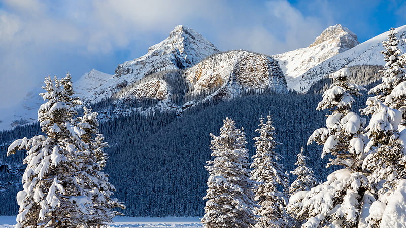 Banff National Park And Mountain Covered With Snow During Winter Winter, HD wallpaper