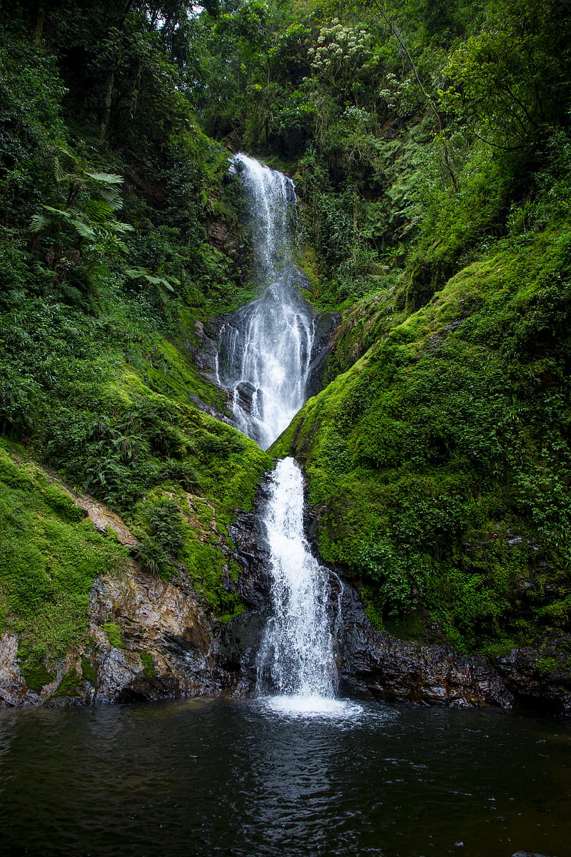 5k Free Download Waterfall Stream Rock Water Moss Bushes Hd