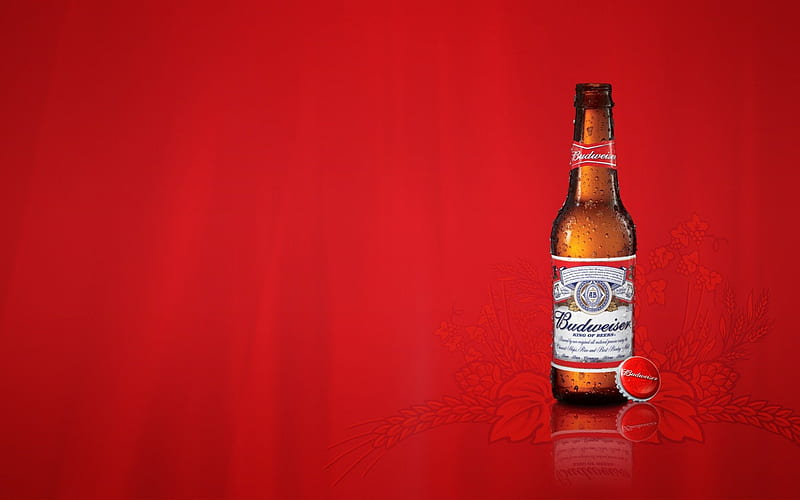 Budweiser Beer, alcohol, budweiser, bottle, drink, beer, HD wallpaper