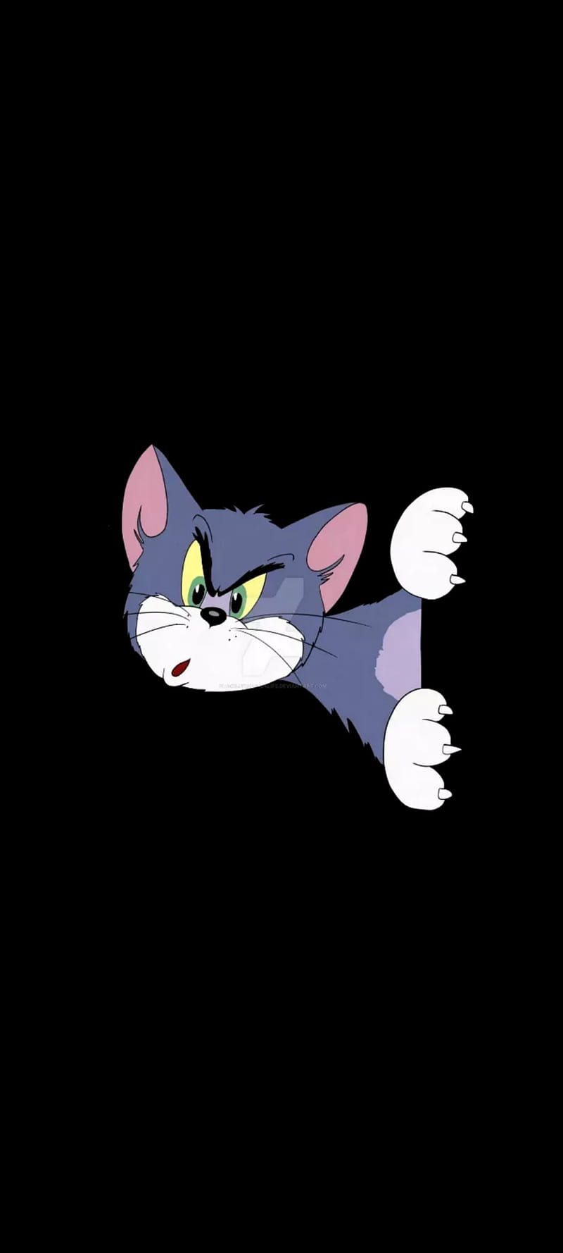 Tom And Jerry iPhone Wallpapers  Wallpaper Cave