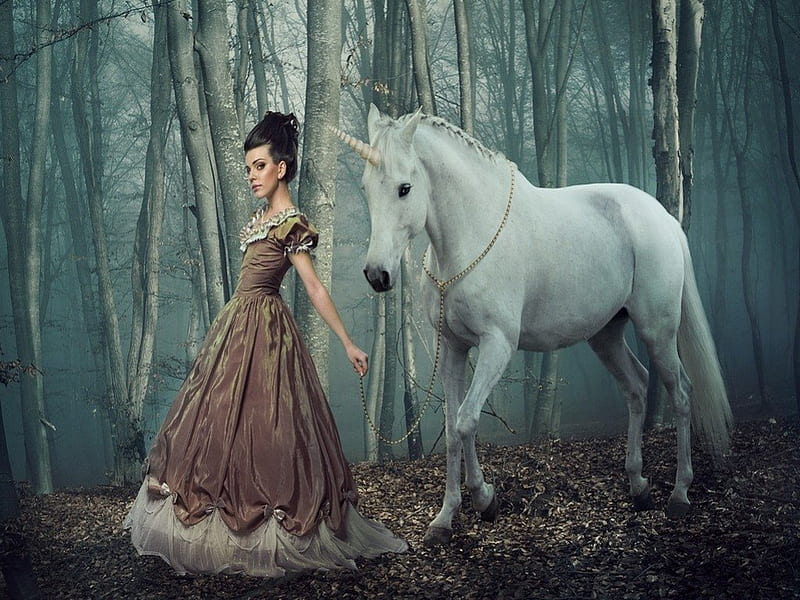 In the Forest, forest, fantasy, girl, unicorn, HD wallpaper | Peakpx