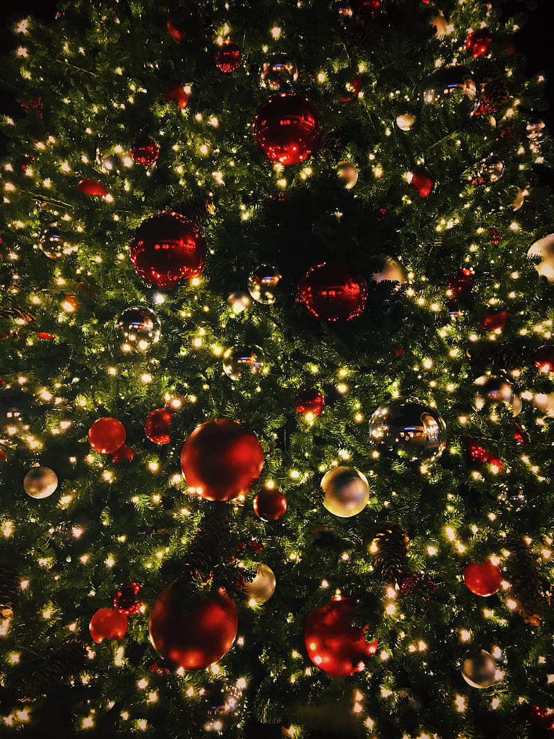 view graphy of Christmas tree with baubles and lighted string lights, HD phone wallpaper