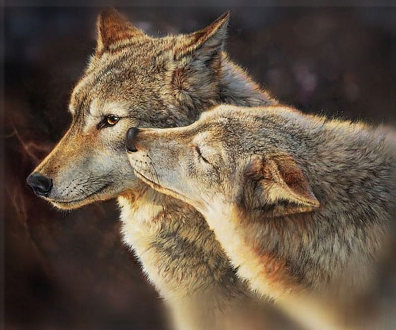 Pair of Wolves, painting, predator, wolf, artwork, HD wallpaper
