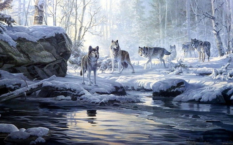 Lobos de invierno, lobo, arroyo, nieve, invierno, Fondo de pantalla HD |  Peakpx