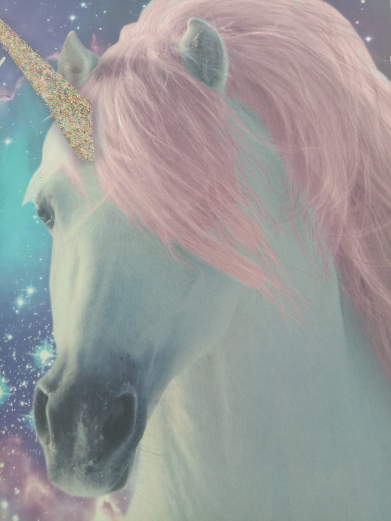 Unicorn, white, HD phone wallpaper