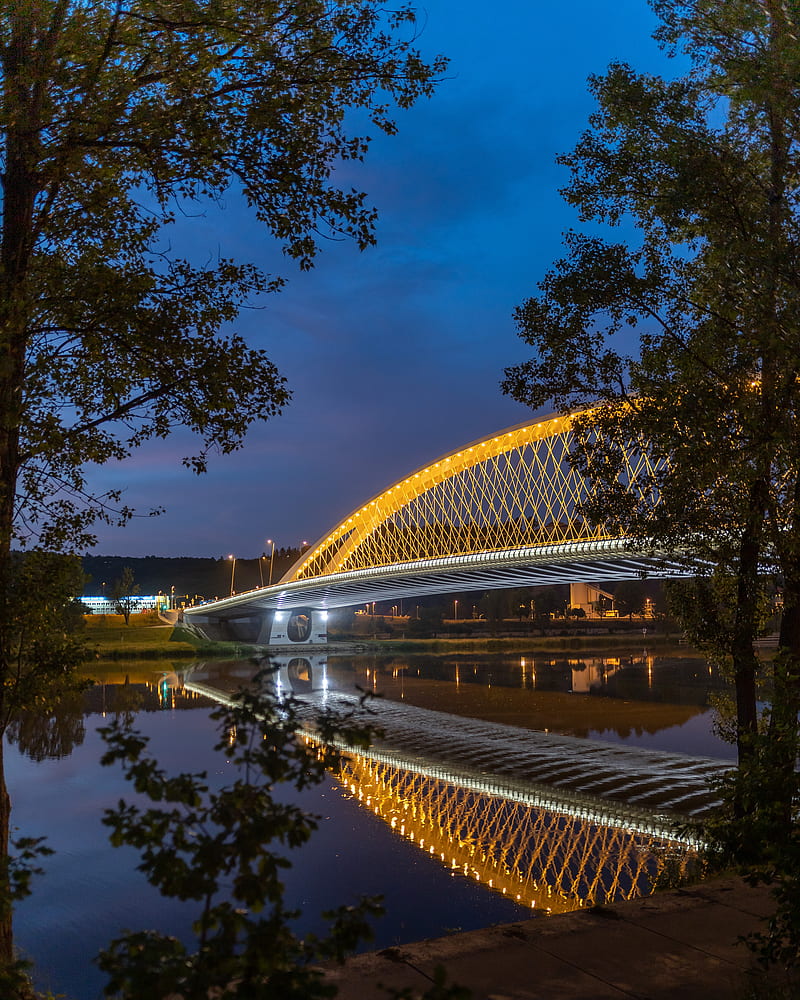 bridge, lights, branches, river, architecture, HD phone wallpaper