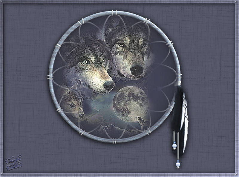 720P free download | Moon Catcher, art, moon catcher, native american ...