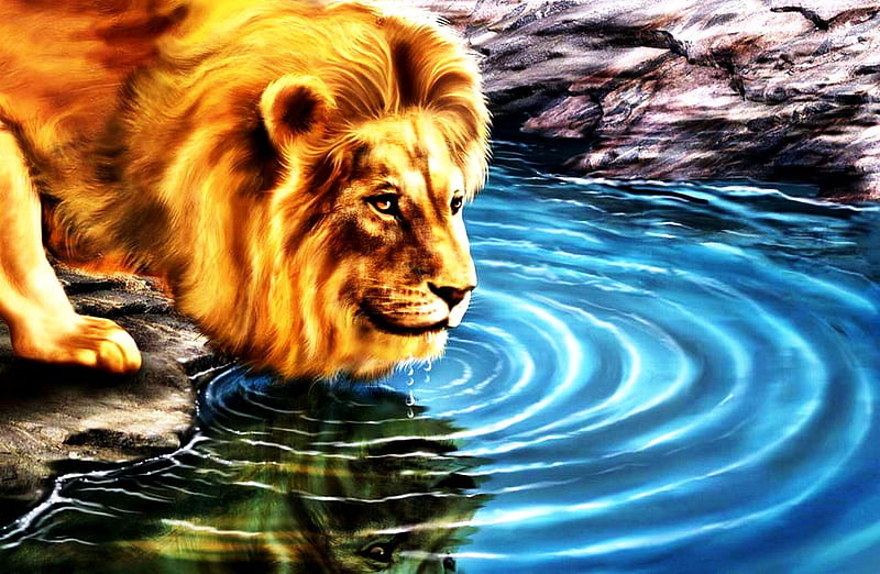 HD lion 3d wallpapers | Peakpx