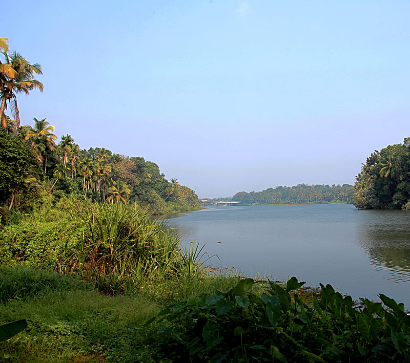 Muvattupuzha, keralam, river, HD wallpaper | Peakpx