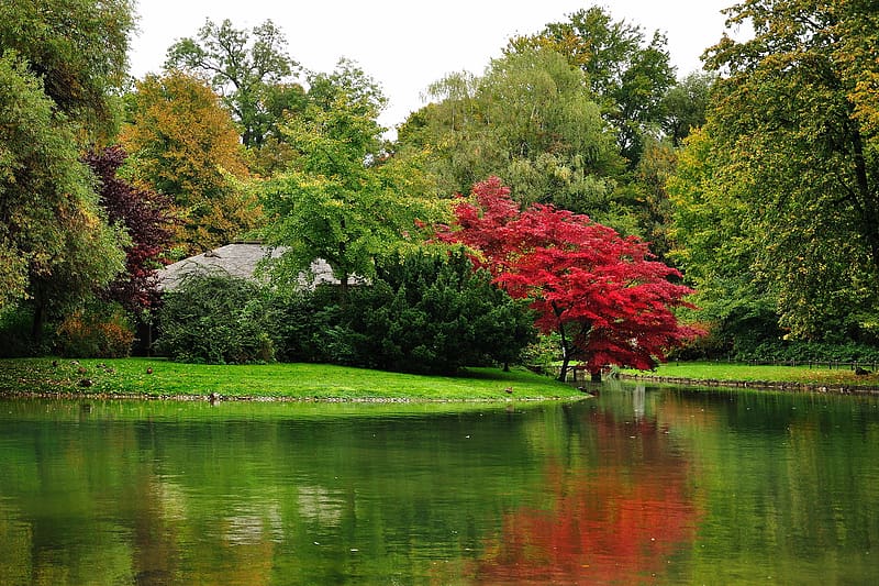 Lake, Fall, Garden, Scenic, HD wallpaper