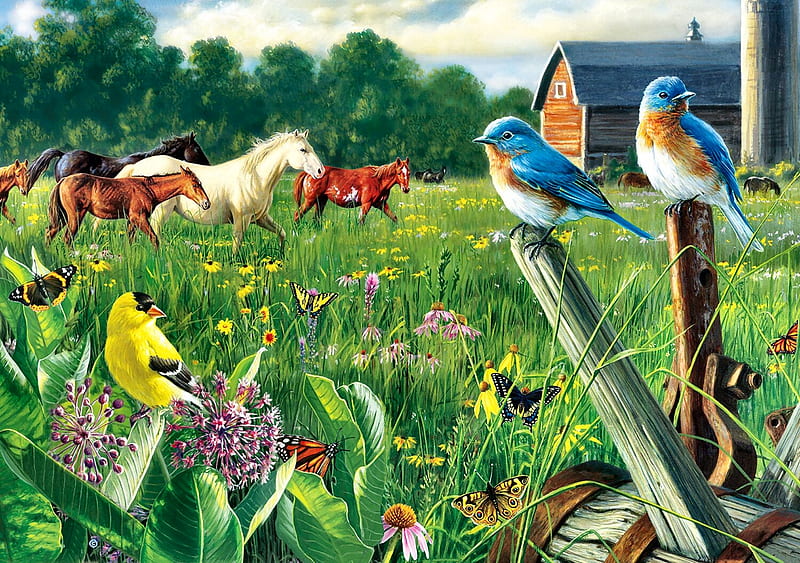 Country Meadow F, art, equine, bonito, butterflies, horse, songbird, illustration, artwork, bluebird, animal, bird, avian, painting, wide screen, wildlife, goldfinch, HD wallpaper